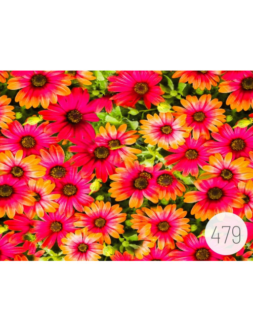 Vzorkovník - Vzorovaný úplet