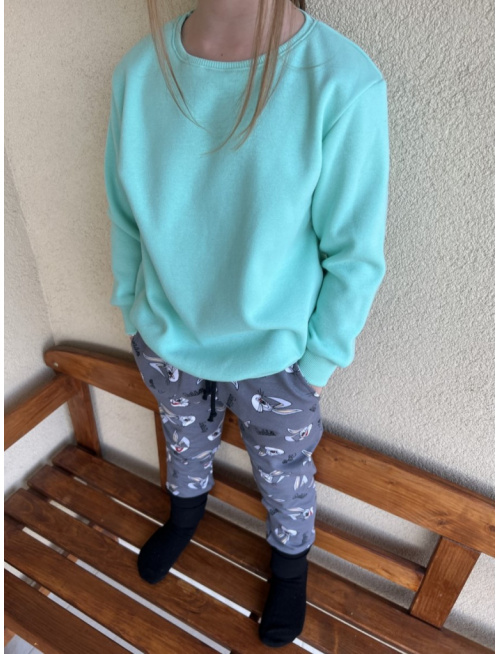 Warmkeeper PREDĹŽENÁ BASIC mikina